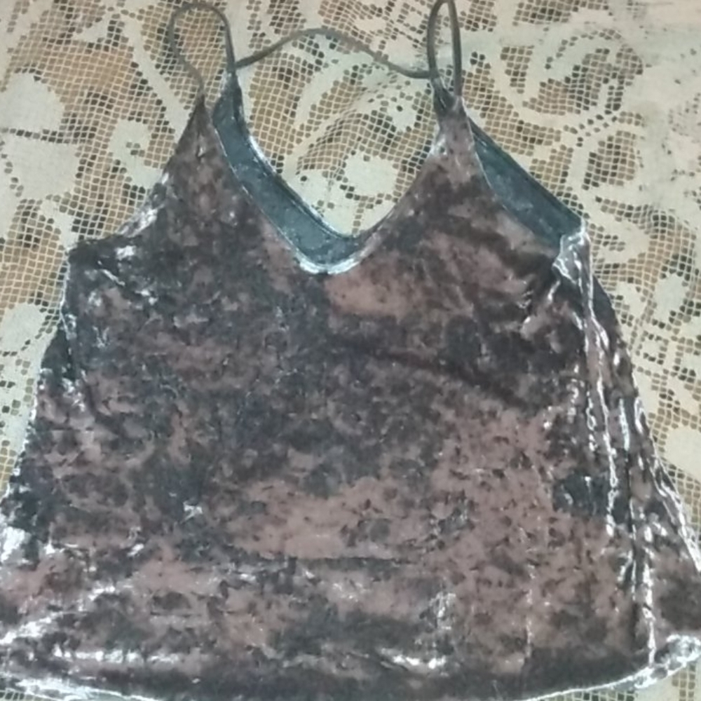 American Eagle Silver Velvet Camisole
